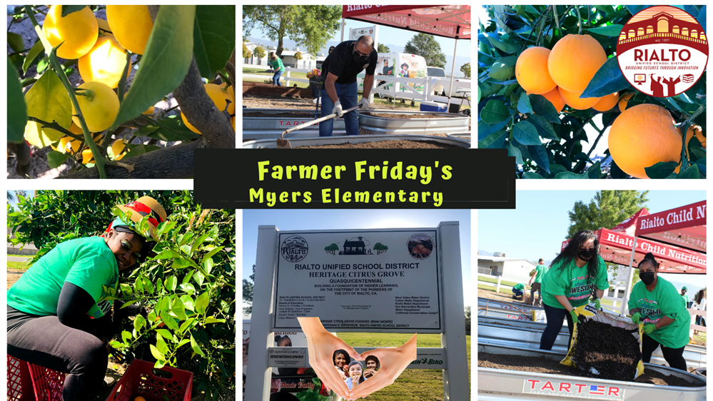 Farmer Friday's Farmer Friday's